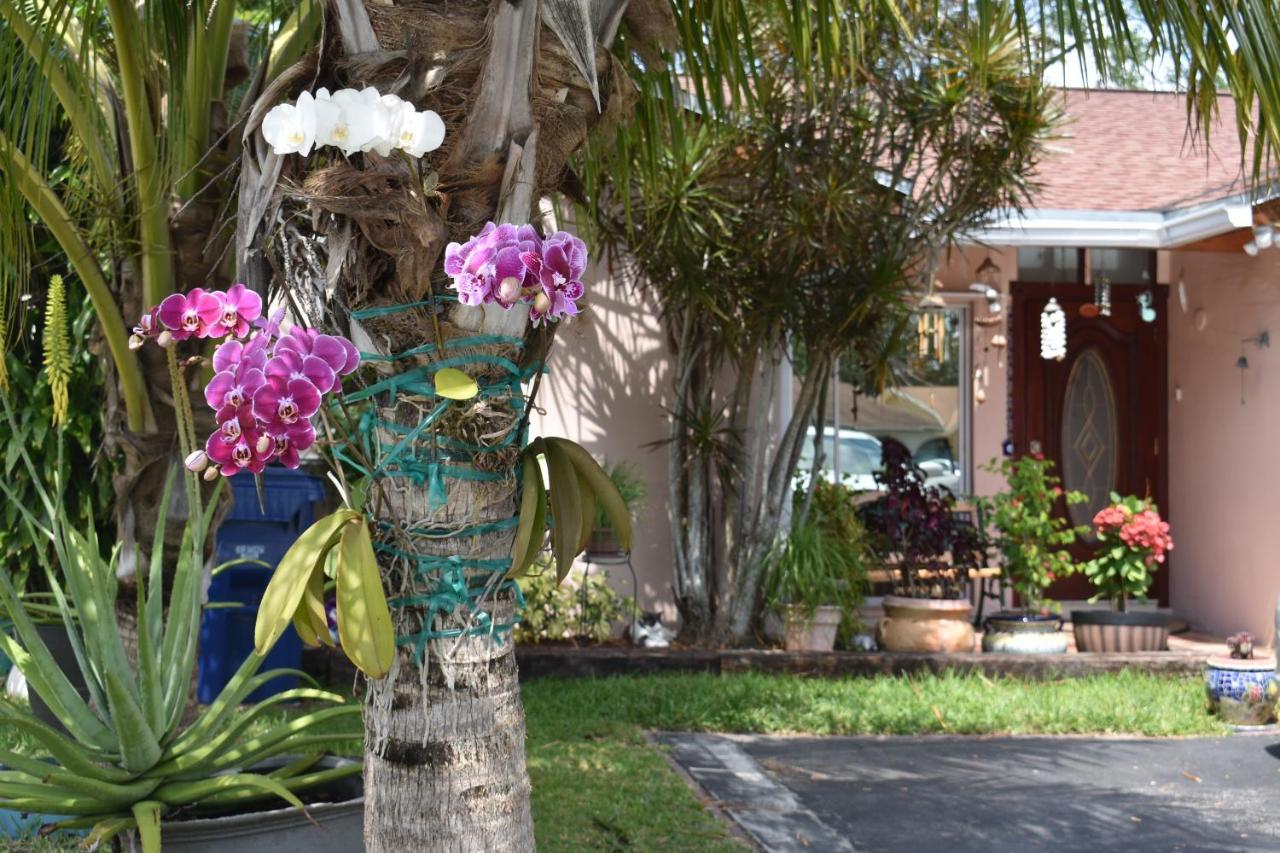 Miami Niceアパートメント エクステリア 写真