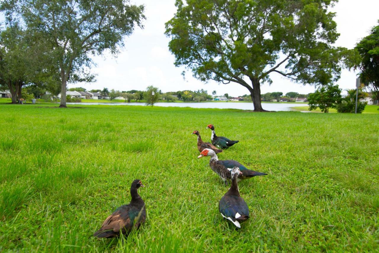 Miami Niceアパートメント エクステリア 写真